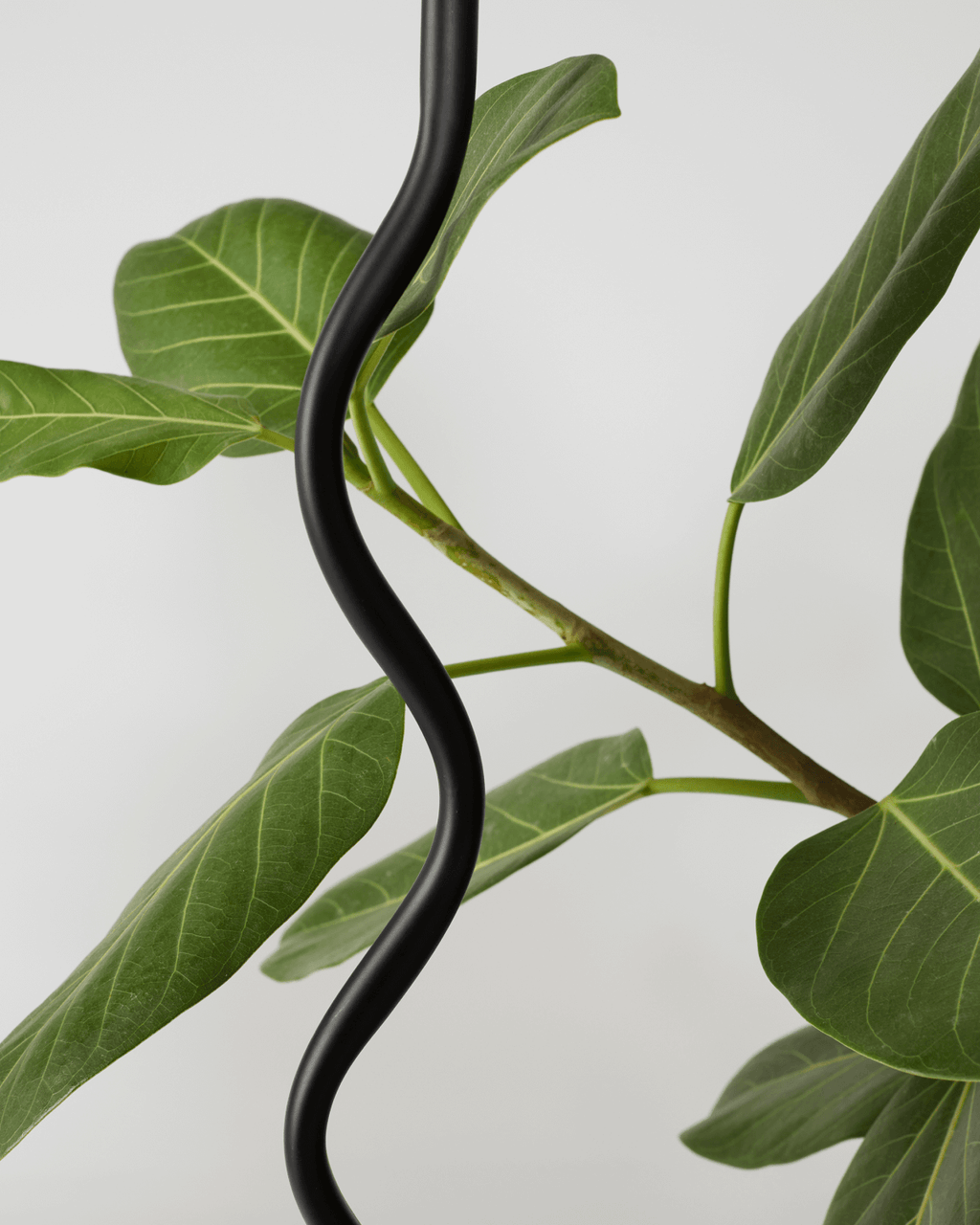 The Wavy Floor Lamp