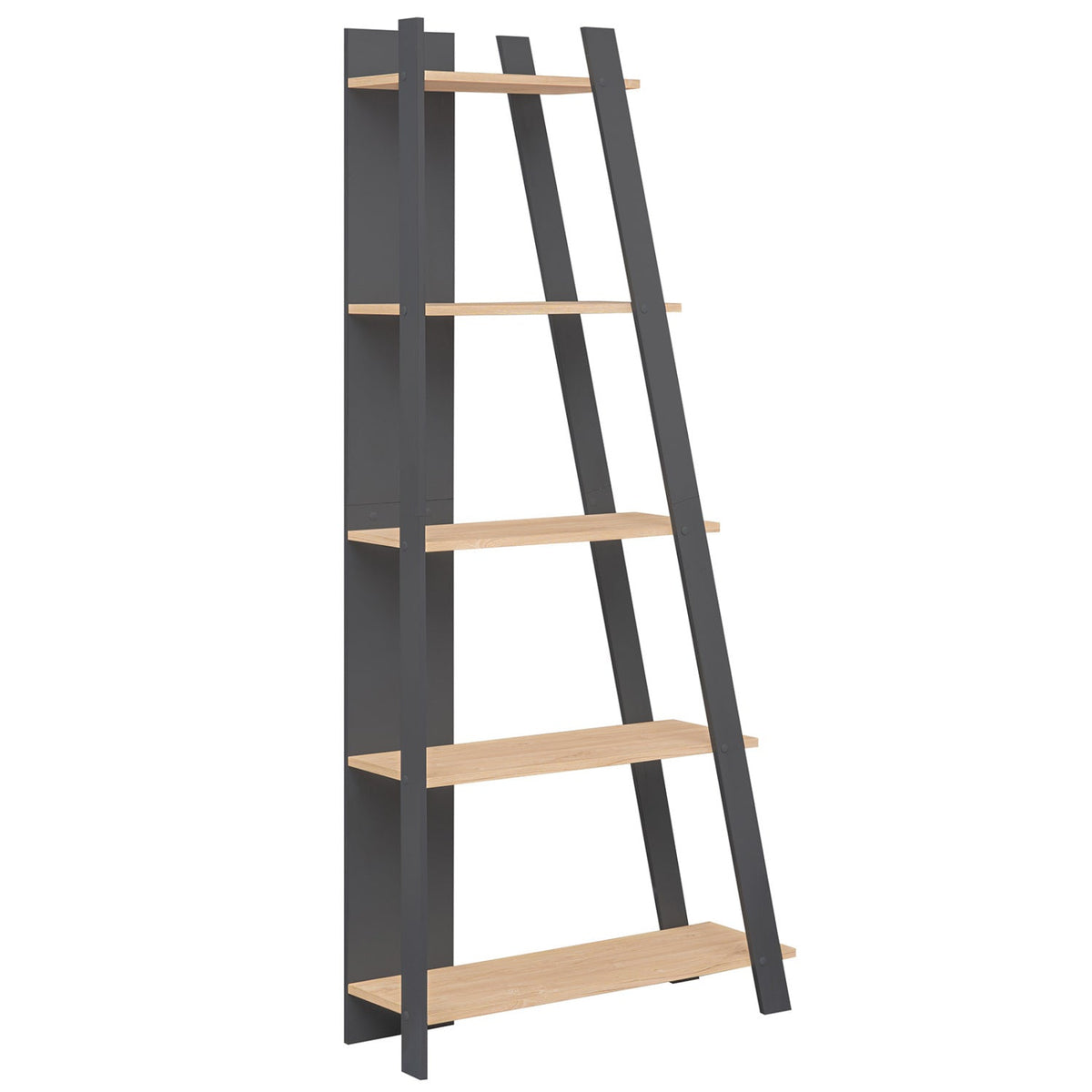 The Vertical 5-Tier Bookshelf, 79" Tall