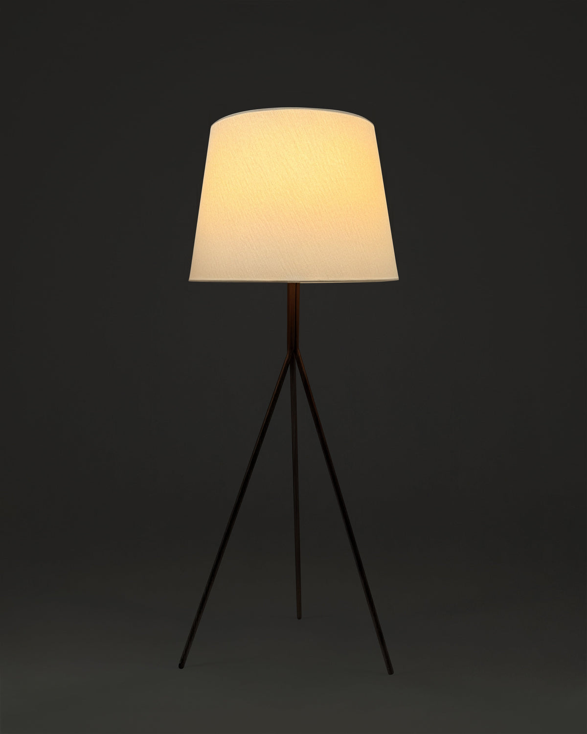 The Forge LED Floor Lamp-Adjustable Ambient Lighting