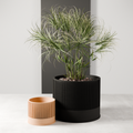 The Sakura Planter-Made with Plant-Based Materials