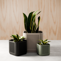 The Stack Planter-Made with Plant-Based Materials