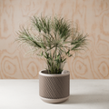 The Weave Planter-Made with Plant-Based Materials