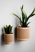 The Stream Wall Planter-Made with Plant-Based Materials