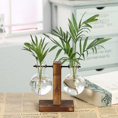 Glass Terrarium Vase – Office & Home Décor