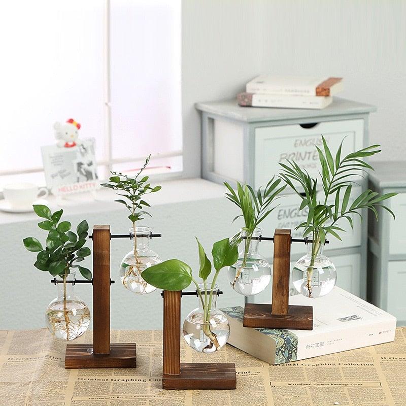 Glass Terrarium Vase – Office & Home Décor