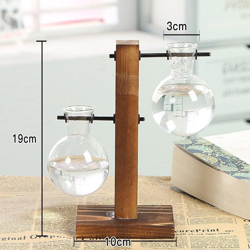 Glass Terrarium Vase – Office & Home Décor