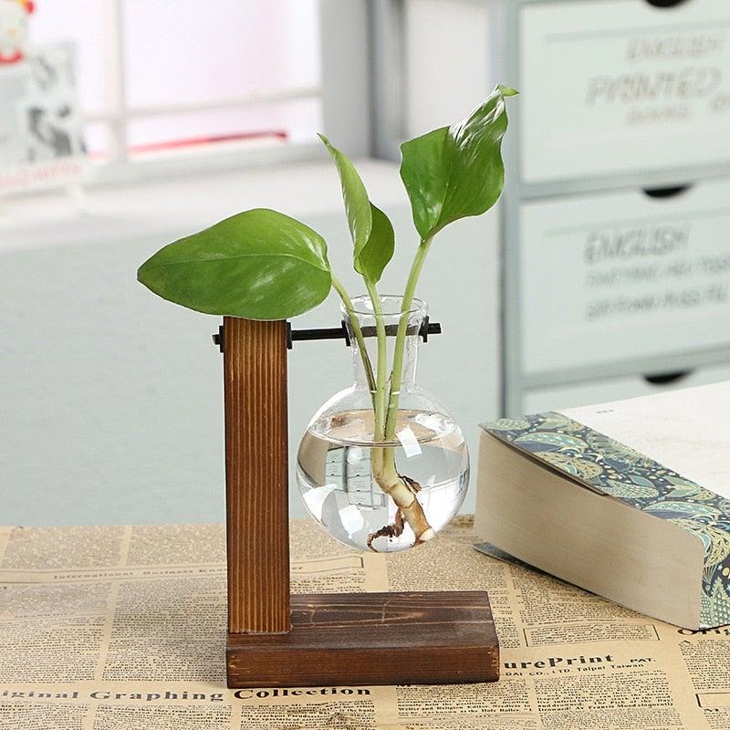 A glass round vase water plant on a wooden stand, placed on a newspaper surface with a book nearby in a softly blurred indoor setting.