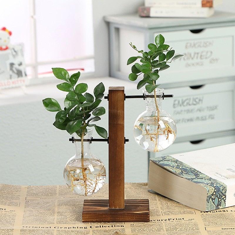 Decorative setup with glass vases and plants on a wooden stand, placed on a surface with a book and newspaper.